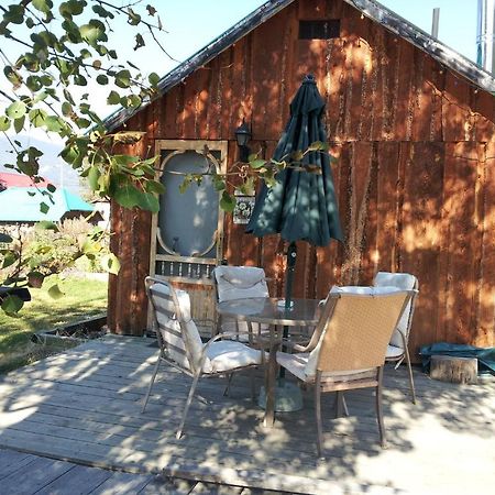 Steamboat Mountain Chalets Hotel Spillimacheen Zewnętrze zdjęcie