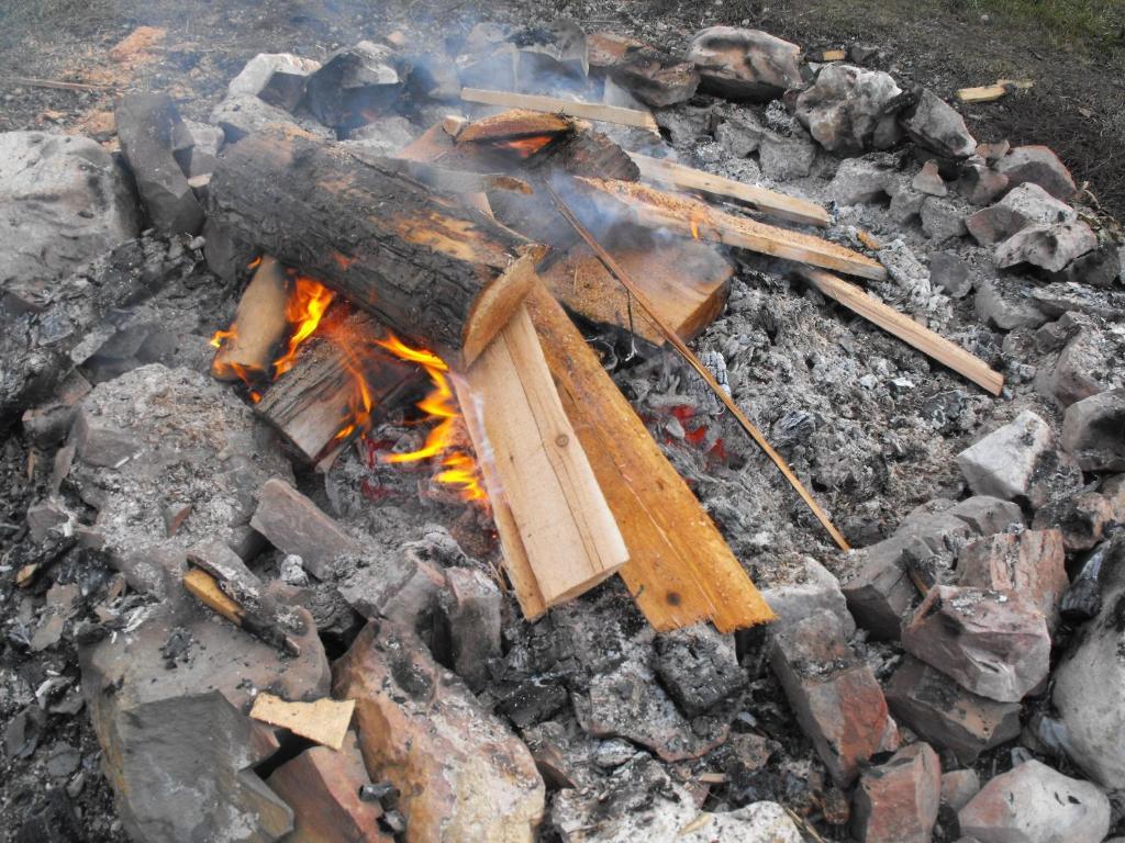 Steamboat Mountain Chalets Hotel Spillimacheen Zewnętrze zdjęcie